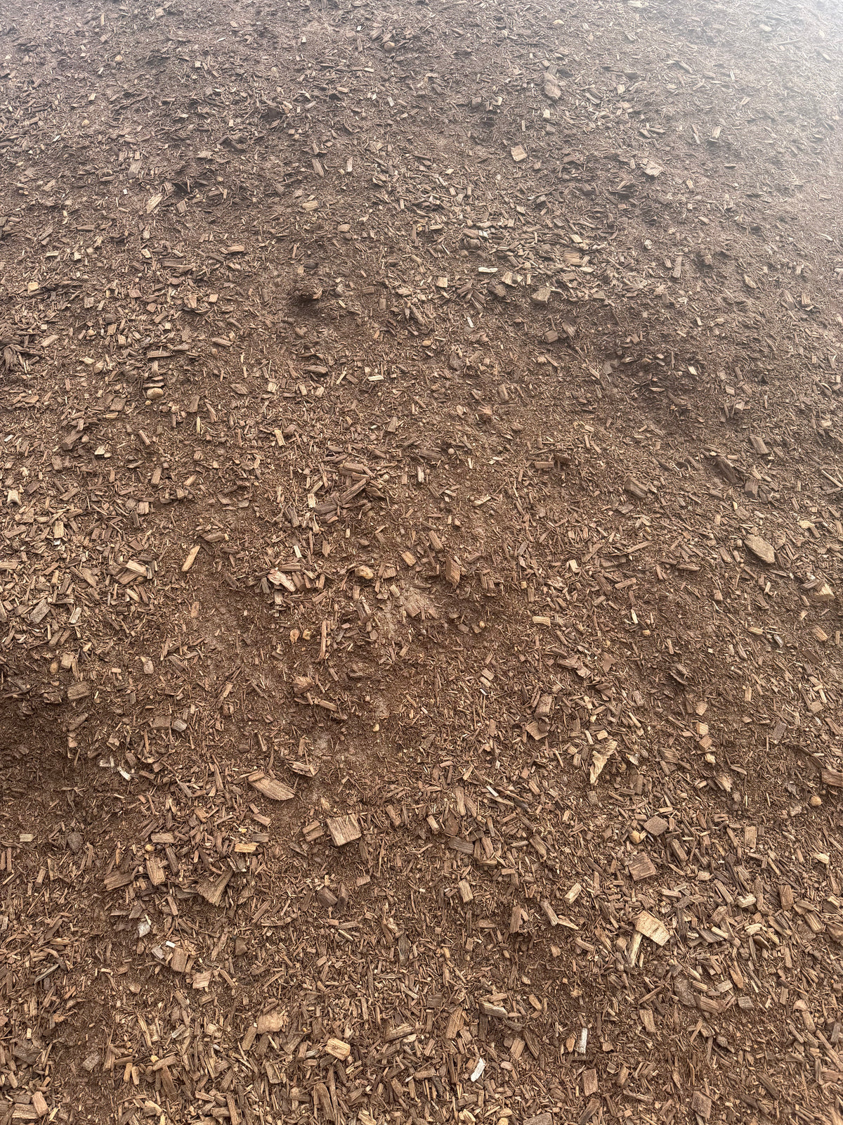 Animal Bedding