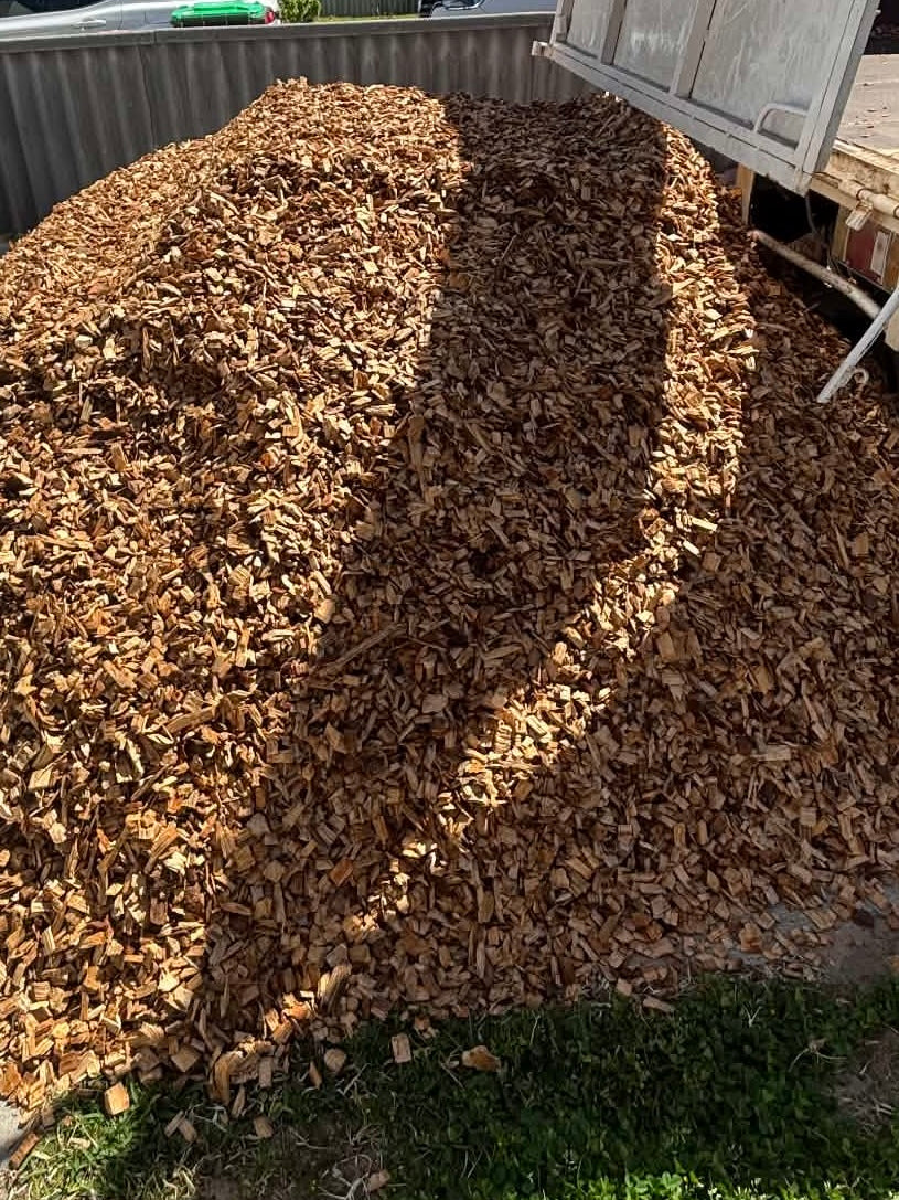 A large pile of brown wood chips or mulch spread outdoors next to a white truck bed, with grass visible at the bottom.