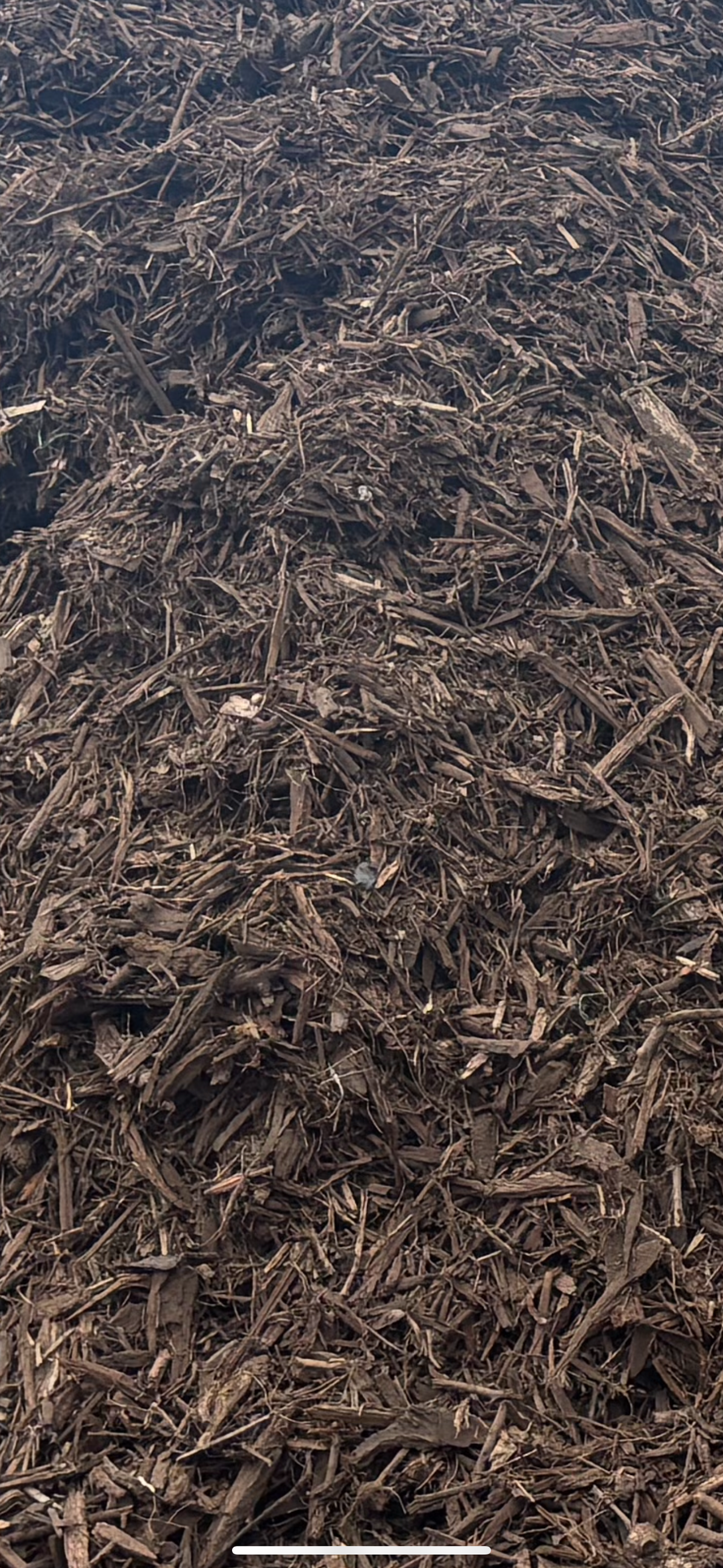 A close-up view of dark brown wood chip mulch or shredded bark mulch filling the frame.