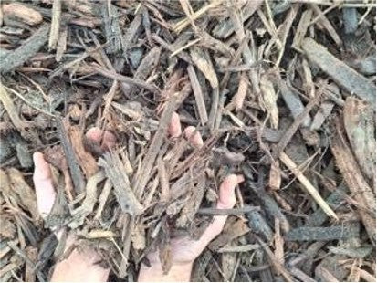 A close-up of shredded bark or wood mulch with two hands holding a handful to show texture and quantity.