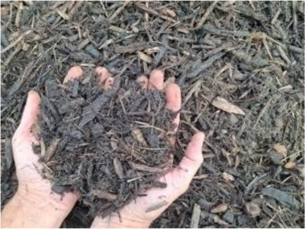 A close-up of two hands holding dark brown shredded wood mulch or compost, with more of the same material spread out in the background.