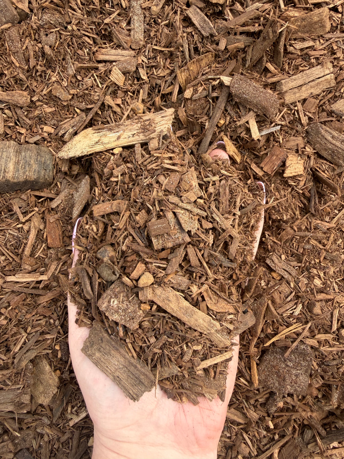 Animal Bedding