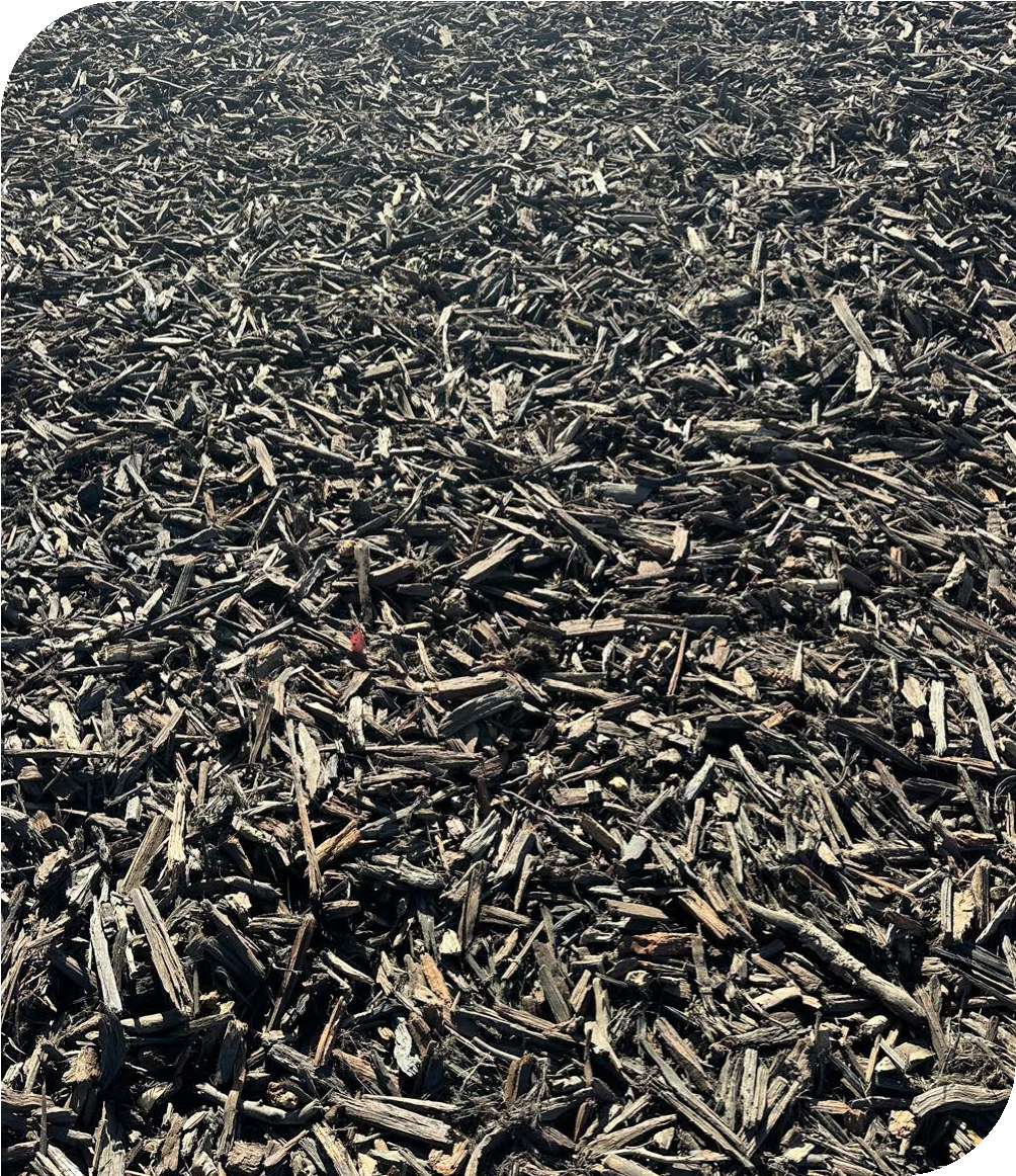 Dark brown wood chips or mulch spread across the ground in a textured, chopped organic material.