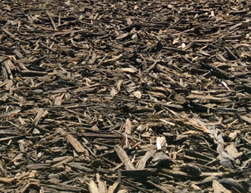 A close-up view of dark brown wood chips or mulch filling the frame, with layered natural debris and branches visible.